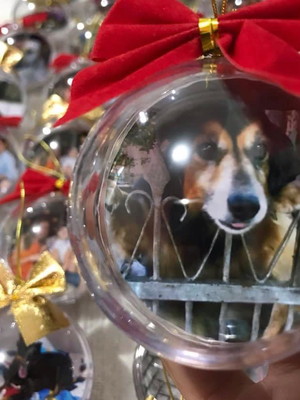 Bolinha de natal com foto (kit com 6 unidades)