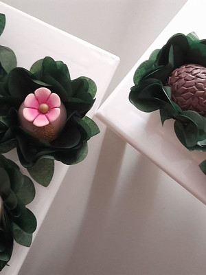 Forminhas para doces verde musgo
