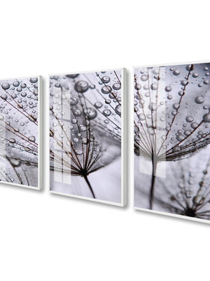 Quadro decorativo dente de leão folhagem trio com vidro
