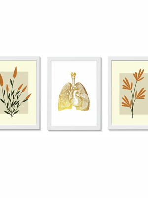 Kit 3 quadros decorativos pulmão pneumologia medicina
