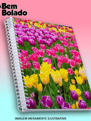 Agenda 2025 tulipas coloridas plantação flores coloridas