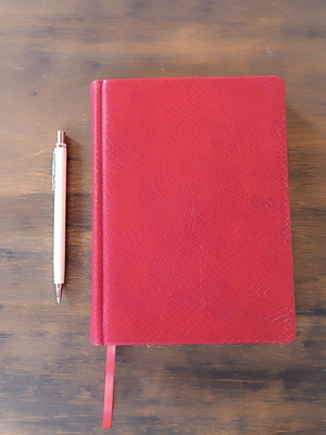Caderno vermelho capa dura de couro estampa cobra