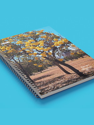 Caderno universitário 80 fls. ipê amarelo