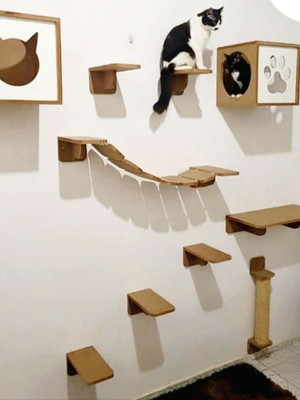 Circuito playground para gatos