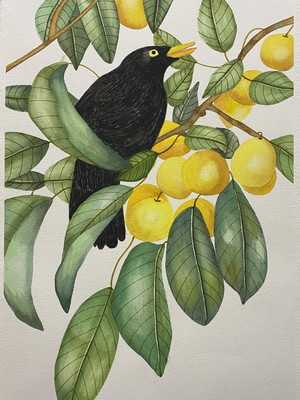 Aquarela em papel de algodao