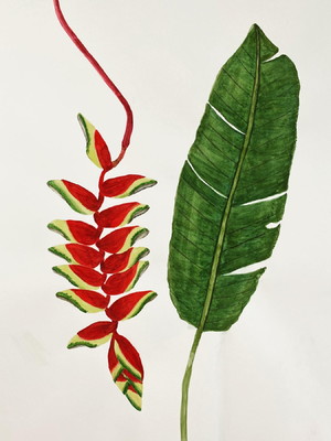 Flor da bananeira