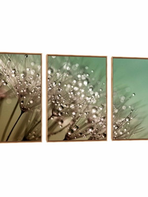 Quadro tela canvas trio orvalho 120x80cm com moldura