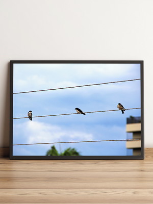 Quadro andorinhas em fios ao céu azul 834
