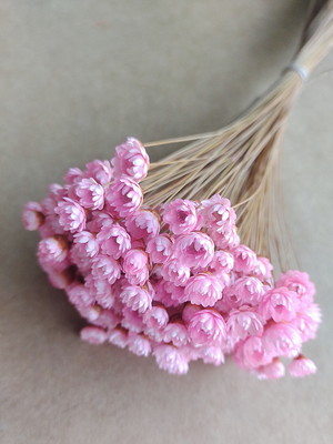 Flores secas - rosa claro
