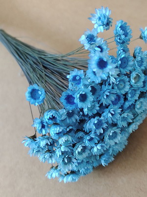 Flores secas - azul turquesa