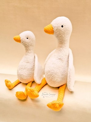 Dupla de patinhos