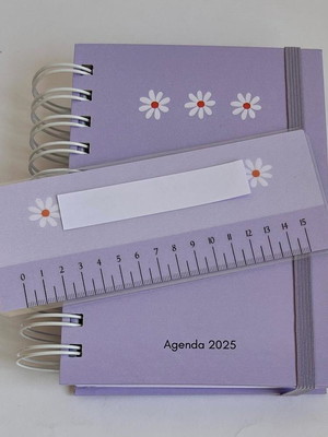 Agenda a6 personalizada 2025