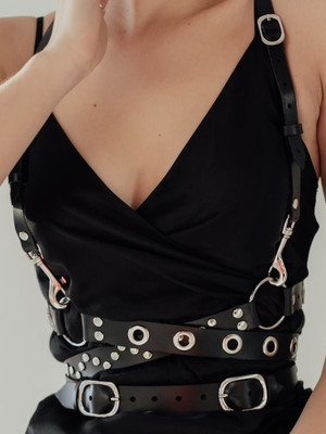 Harness1