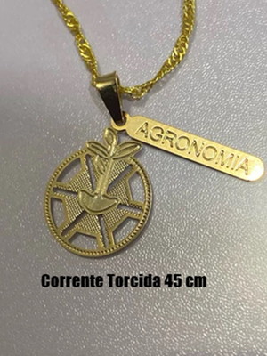 Colar profissão agronomia banhado a ouro 18k