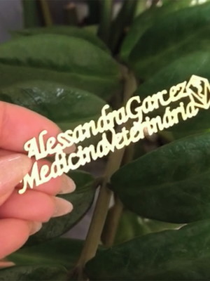 Broche personalizado nome brasão medicina veterinária