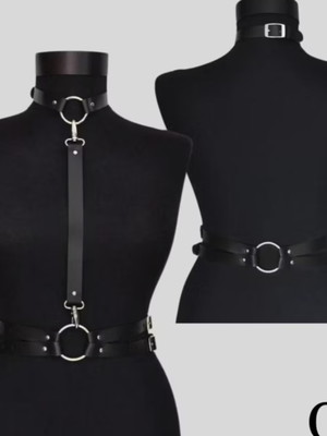 Harness1