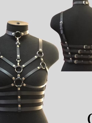 Harness5