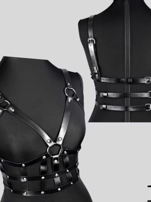 Harness6