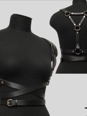 Harness10