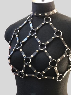 Harness11