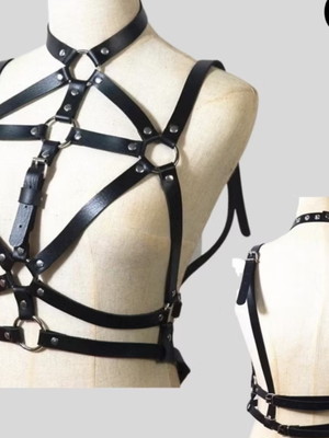 Harness17