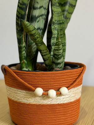 Cachepô para plantas