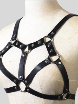 Harness17