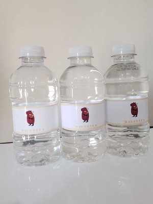 Água personalizada 240ml capivara
