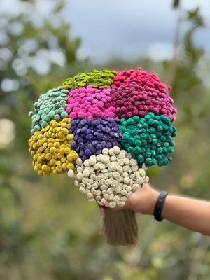 Sempre viva botão veludo bolinha cores decoração