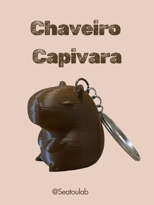 Chaveiro e lembrancinha capivara