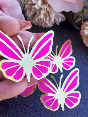 Apliques borboleta 3d rosa grande