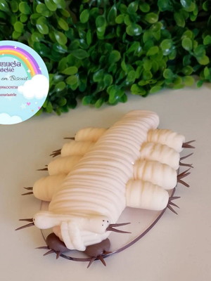 Demodex
