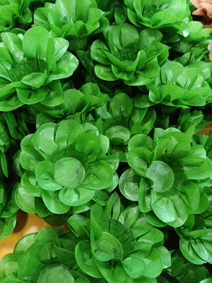 Forminhas para doces verde pistache