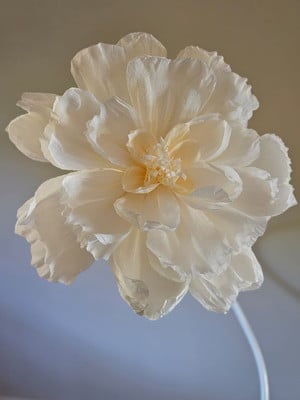 Flor gigante liz