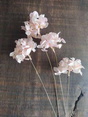 Hortensia desidratadas (5 hastes)