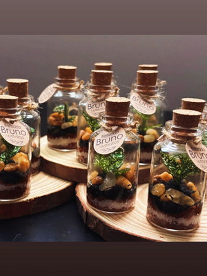 Mini terrário com plantas vivas para lembrancinha!