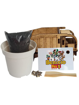 Lembrancinha caminhão mdf com flores e temperos - toy story