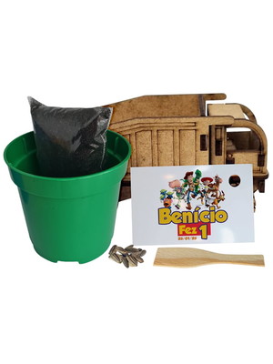 Lembrancinha caminhão mdf com flores e temperos - toy story