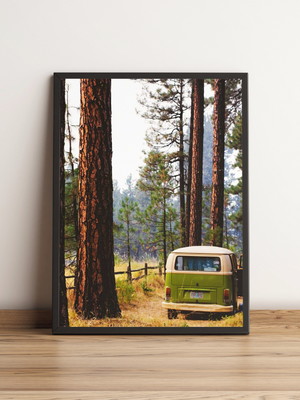 Quadro kombi verde em floresta com pinheiros 1553