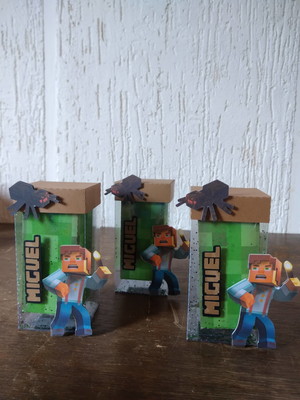 Caixa retangular acetato minecraft