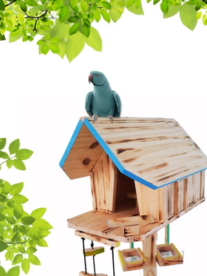 Casinha & playground com suporte pedestal para ring neck