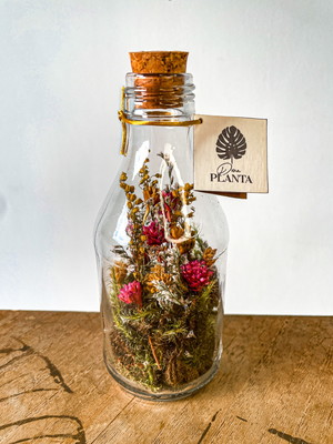 Kit 5 arranjos jardim preservado com flores secas em vidro