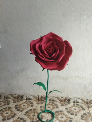 Rosa em eva média