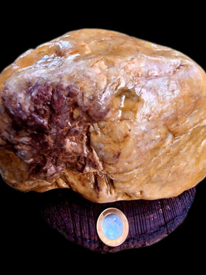 Quartzo hematoide amarelo com inclusão 5.3 kg