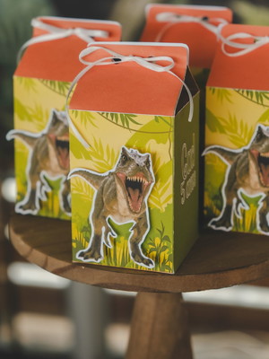 Caixa milk
