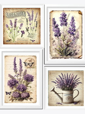 Quadros flores lavanda com vidro