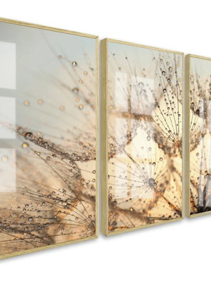 Quadros decorativos dente de leão 50 x 70 moldura e vidro