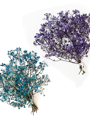 Flor desidratada -4mini buquês gypso(mosquitinho) azul lilás