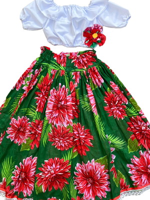 Conjunto de saia junina, carimbo, blusa ciganinha tamanho 10
