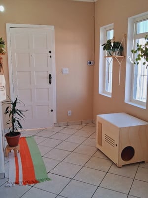 Banheiro grande p/gato-caixa de areia-banheirão para gato